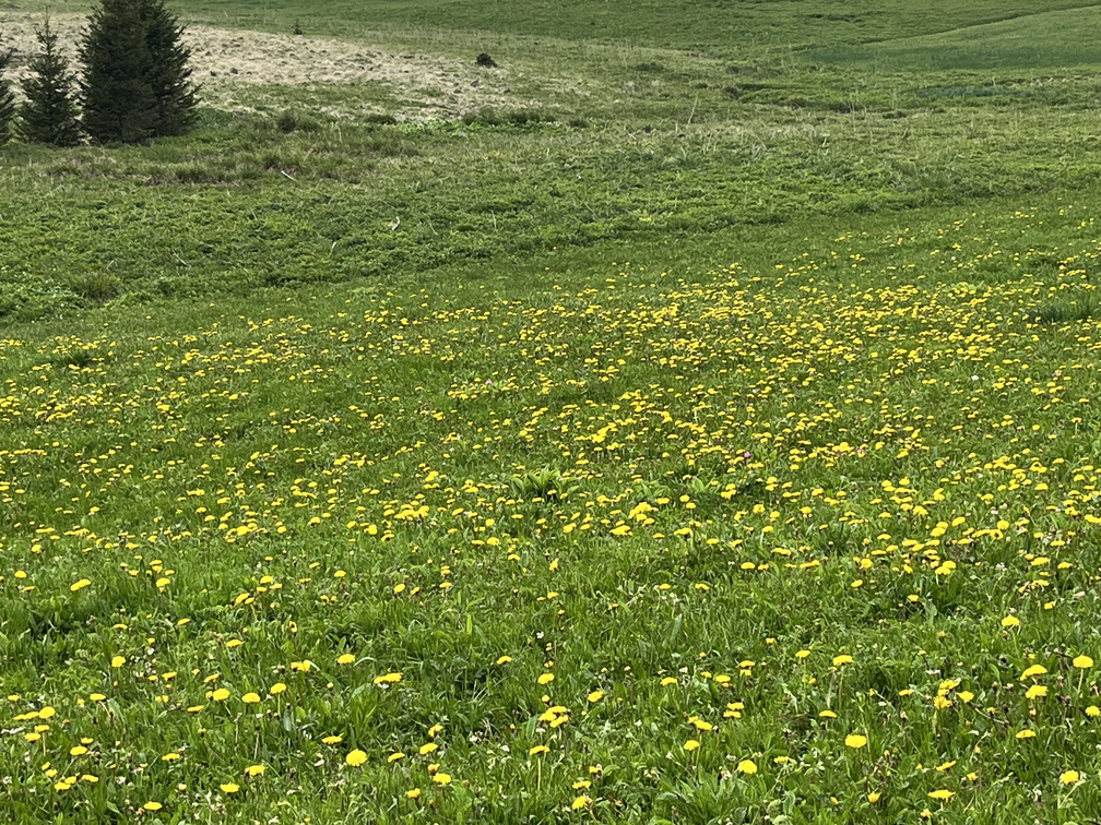 23-05-21 17-17-47 5540